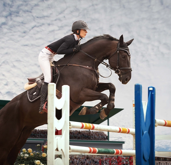 Épreuve équestre avec un cavalier vêtu d'une veste noire et d'un casque sautant avec un cheval noir par-dessus une barrière colorée. Ciel nuageux et foule enthousiaste en arrière-plan.