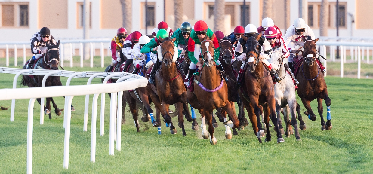 Course hippique sur une piste en herbe avec plusieurs jockeys vêtus de tenues colorées, notamment rouges et vertes, qui s'affrontent dans une compétition serrée. Des palmiers et un bâtiment apparaissent en arrière-plan.